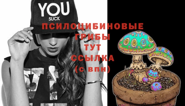 круглые Лагань