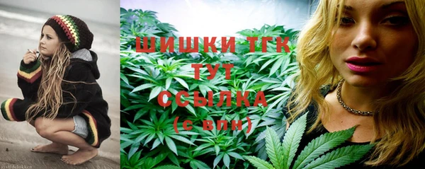 дурь Лабытнанги