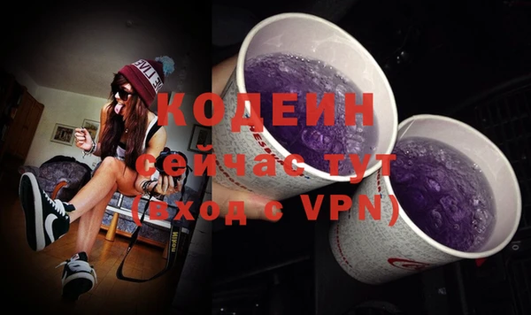 дурь Лабытнанги