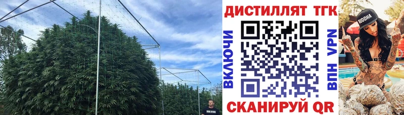 продажа наркотиков  Меленки  ТГК гашишное масло 