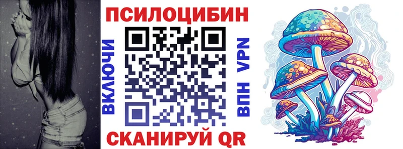 Псилоцибиновые грибы мицелий  как найти   Меленки 